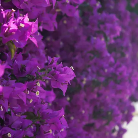 Akalia Resort Hotel & Spa 4*